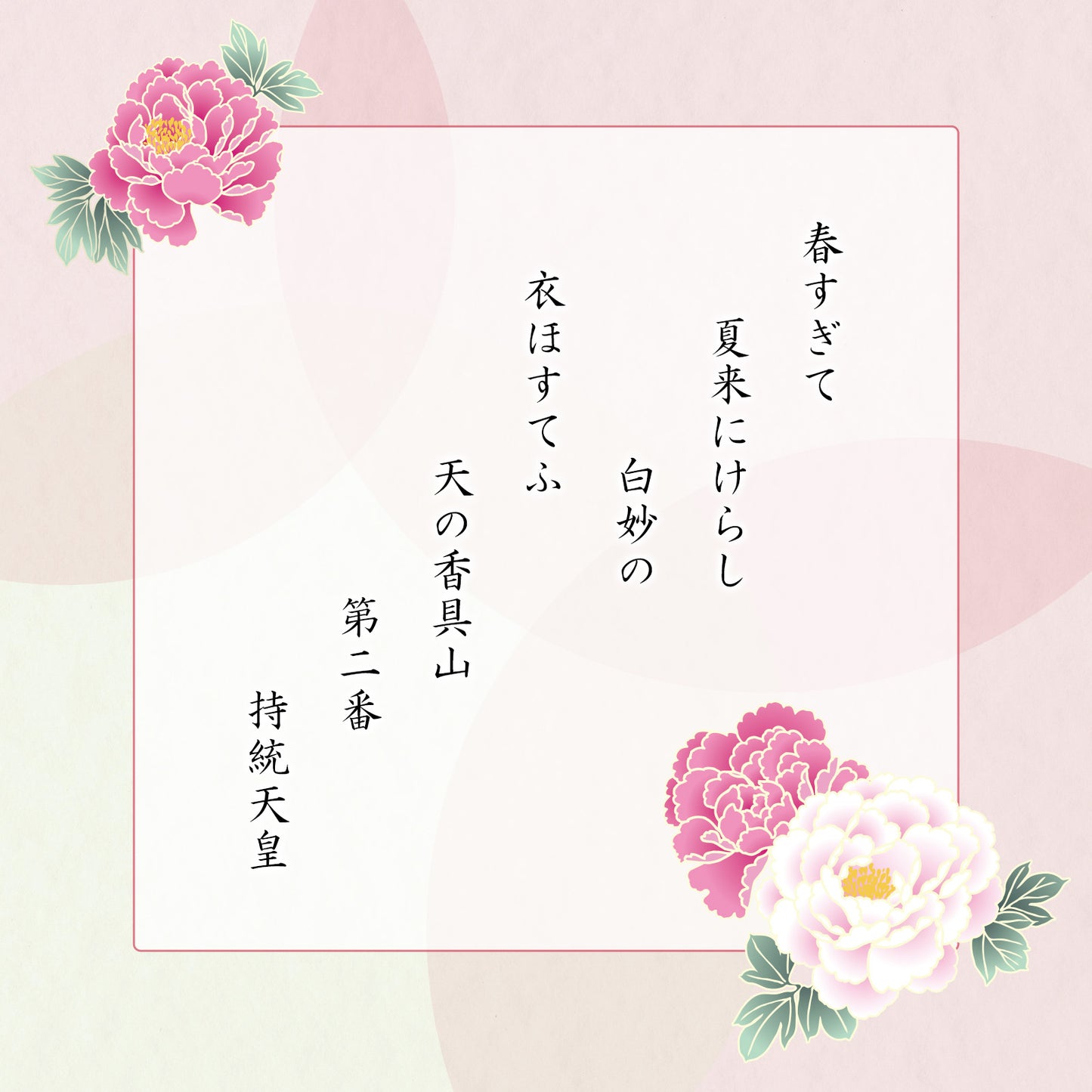 花的緣分(18袋+涼菓2個)