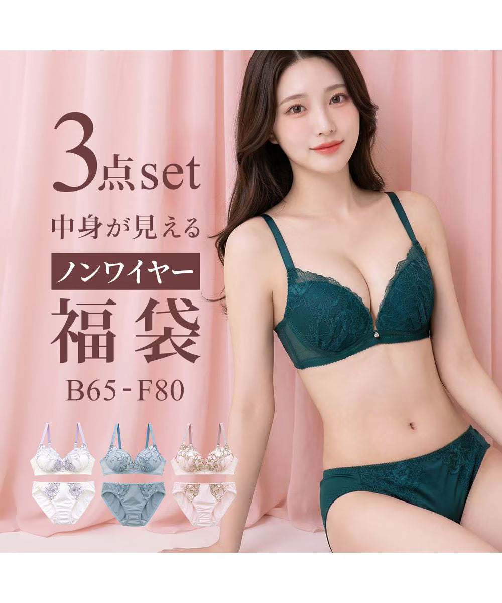 日本代購|未知 內衣 - 選擇6款無鋼圈內衣及內褲3件組|Nissen