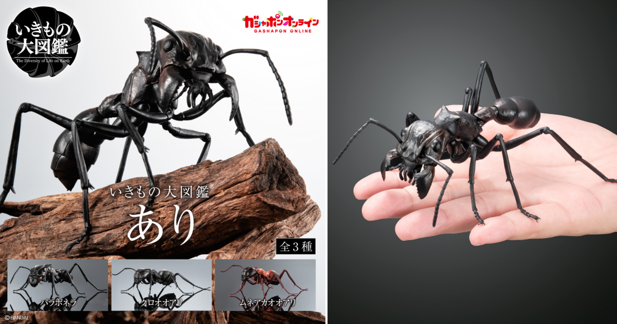 日本代購|萬代 模型 - 生物大圖鑑 螞蟻 12公分 可動關節|Toy-people