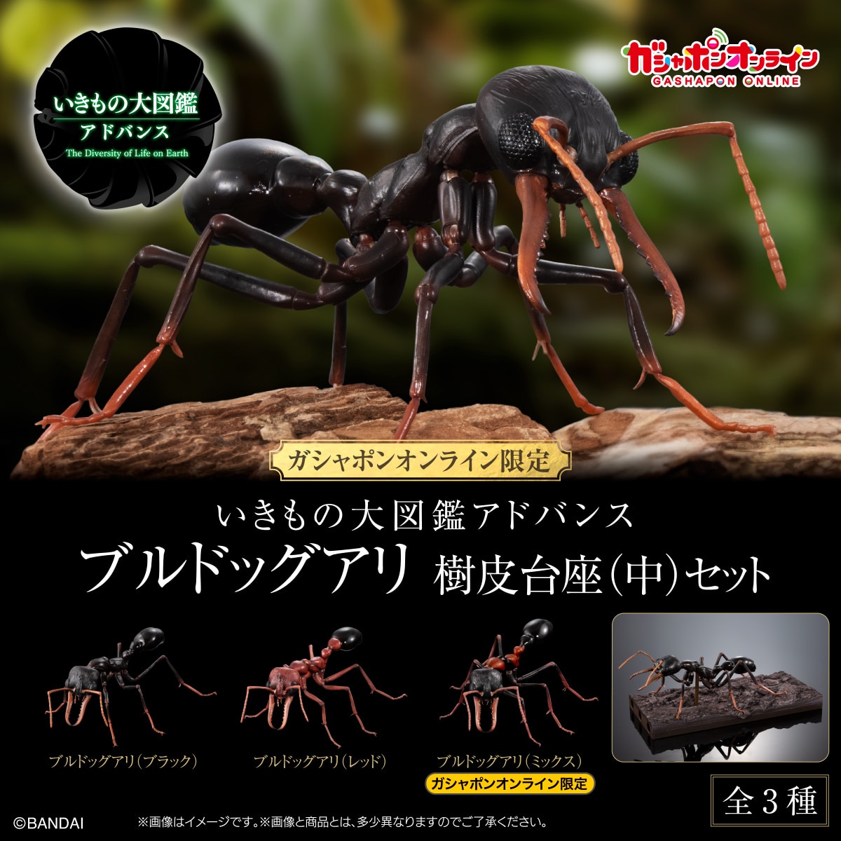 日本代購|未知 模型 - いきもの大図鑑アドバンス 藍色鬥牛犬 樹皮台座(中)|Parks2.bandainamco-am