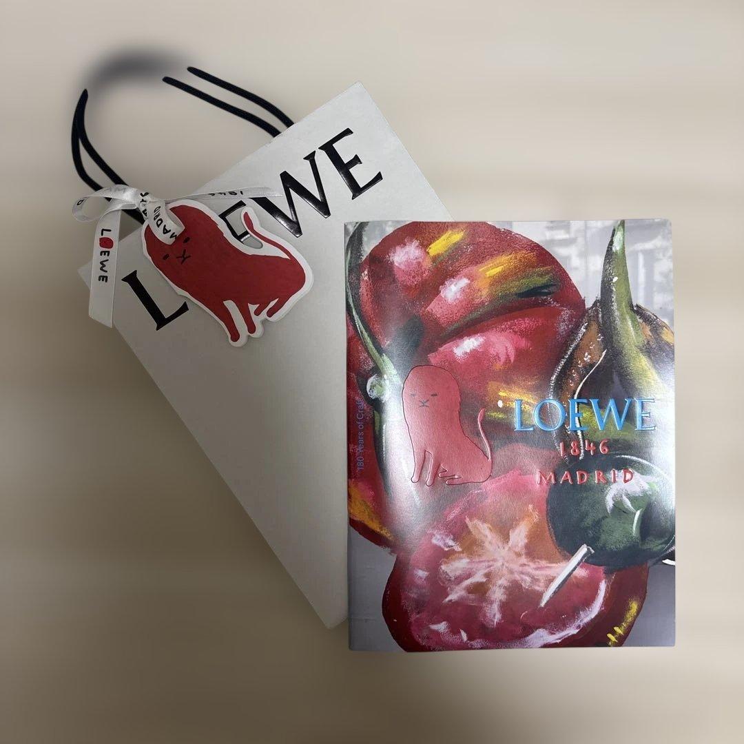 日本代購|LOEWE 購物袋 - 目錄套裝|Mercari