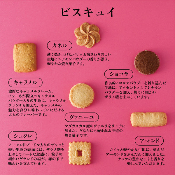 資生堂PARLOUR 銀座高級洋菓子 ビスキュイ20枚入