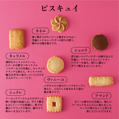 資生堂PARLOUR 銀座高級洋菓子 ビスキュイ20枚入