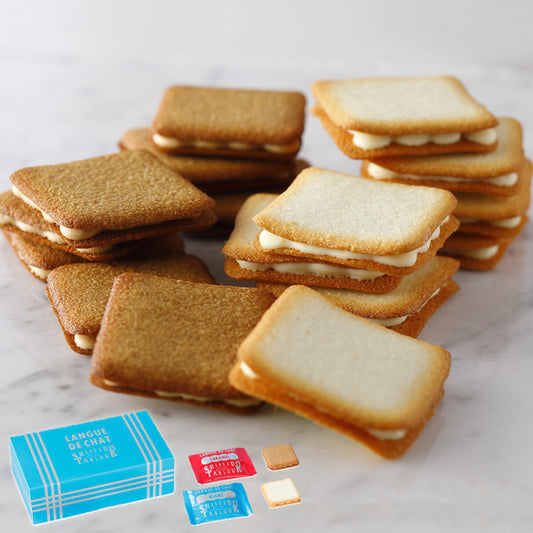 資生堂PARLOUR 輕盈巧克力夾心餅乾 10枚入