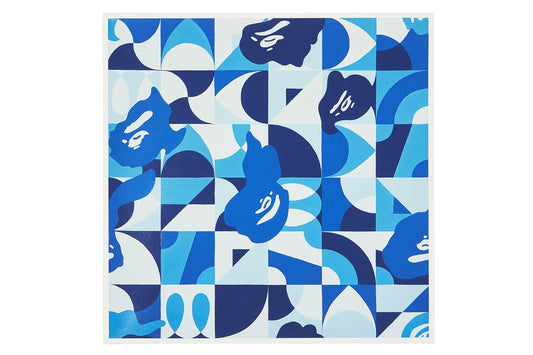BAPE BAPE X ILIZARBE BLUE CAMO BY ALVARO ILIZARBE