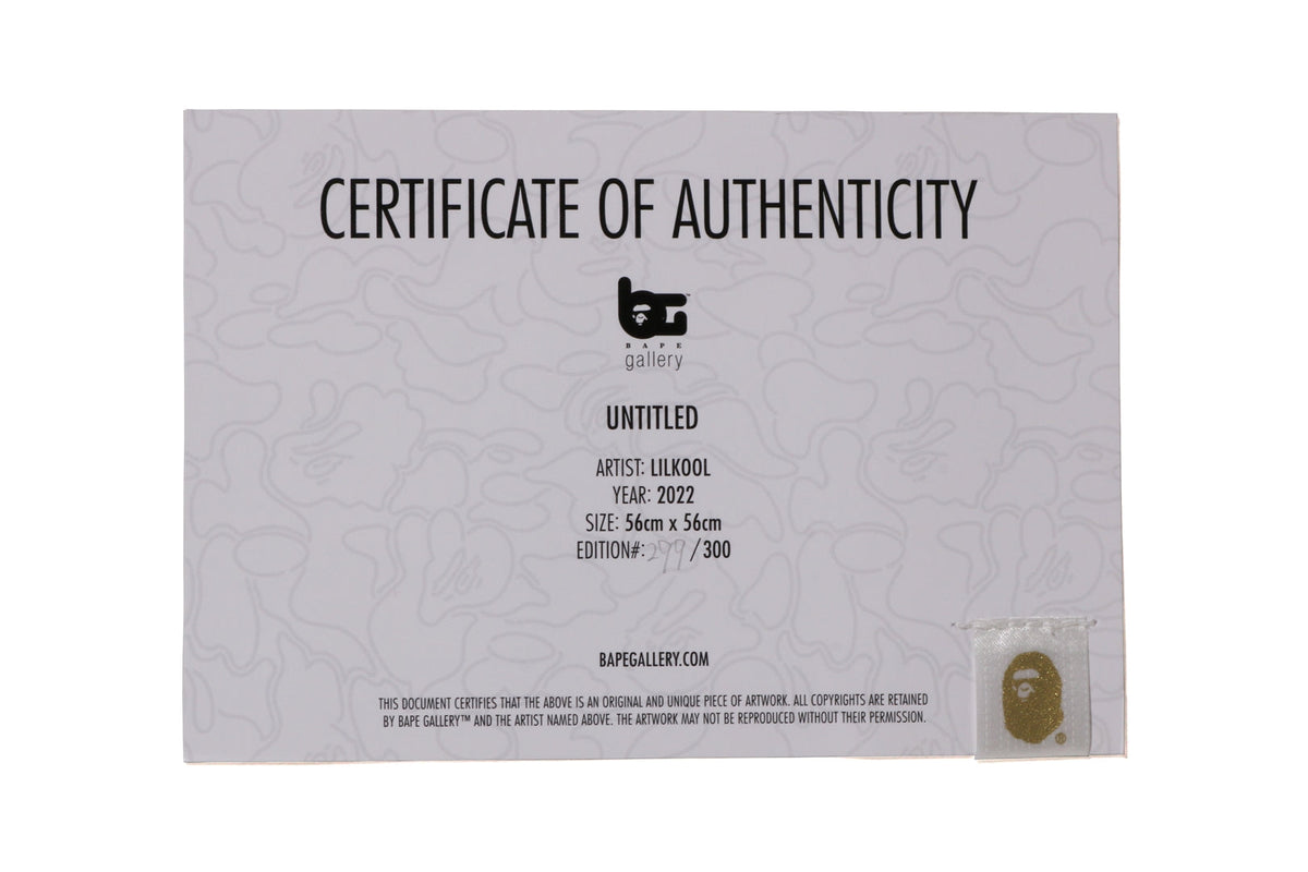 BAPE UNTITLED BY LILKOOL