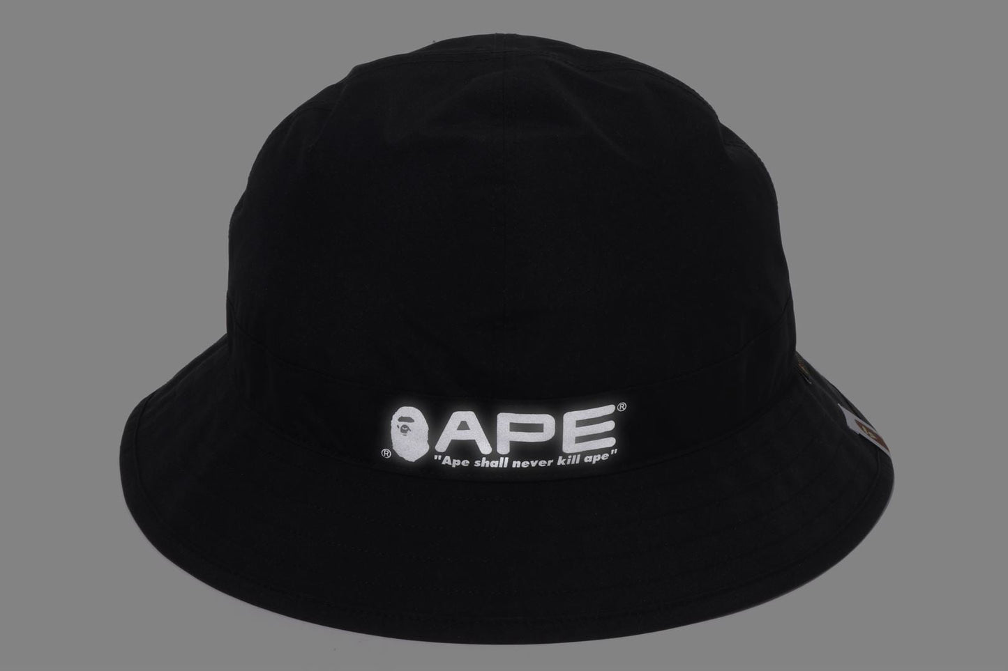 BAPE GORE-TEX LOGO HAT