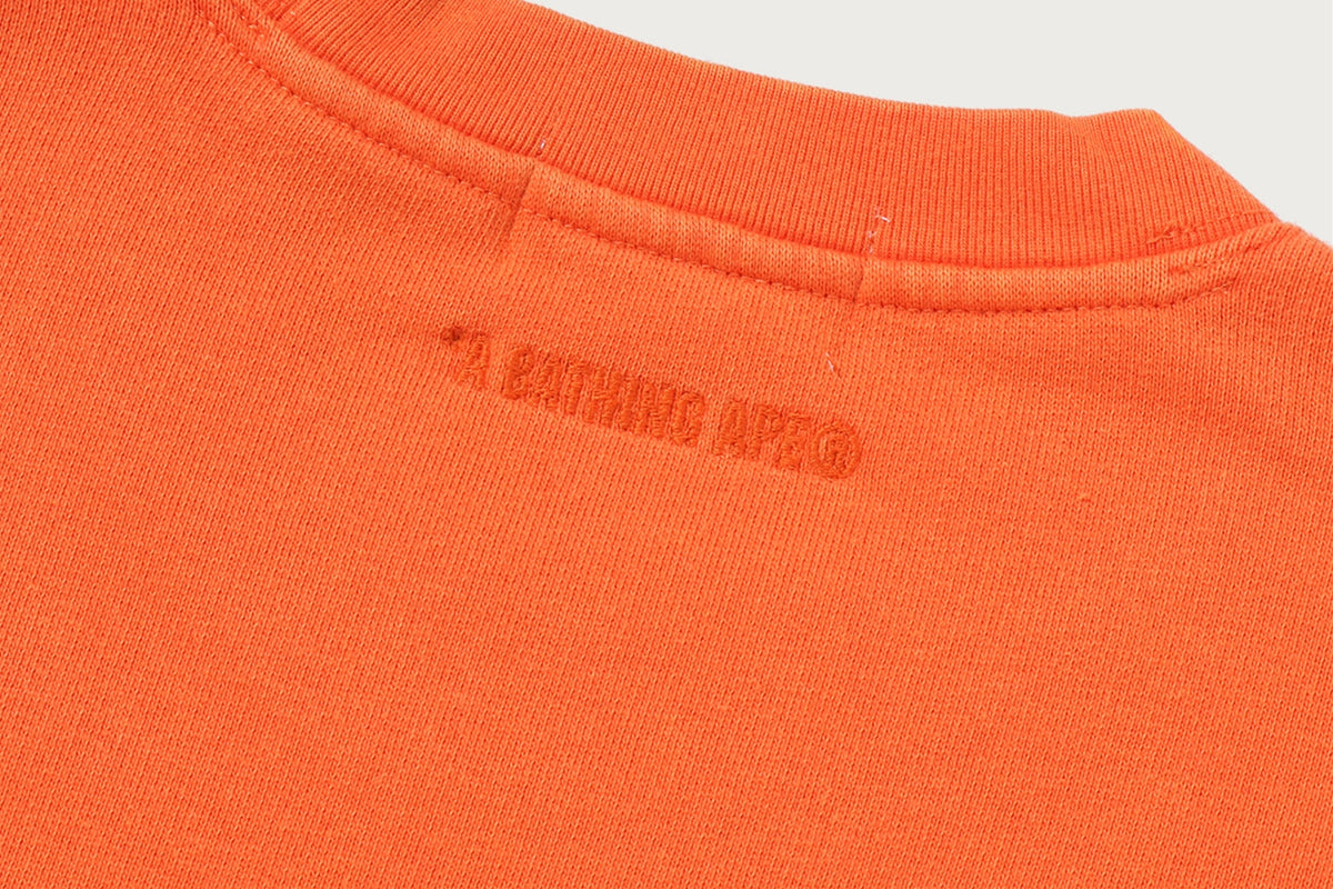 BAPE HEAVY WASHED MILO 大學T