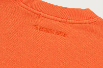 BAPE HEAVY WASHED MILO 大學T