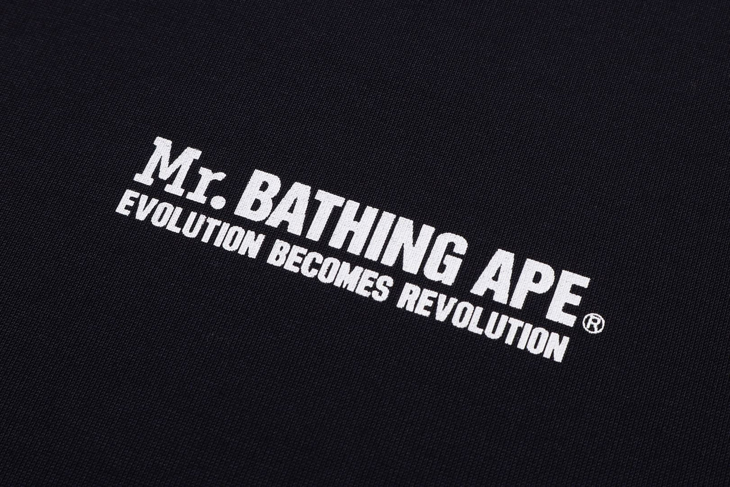 BAPE PRINT TEE #6