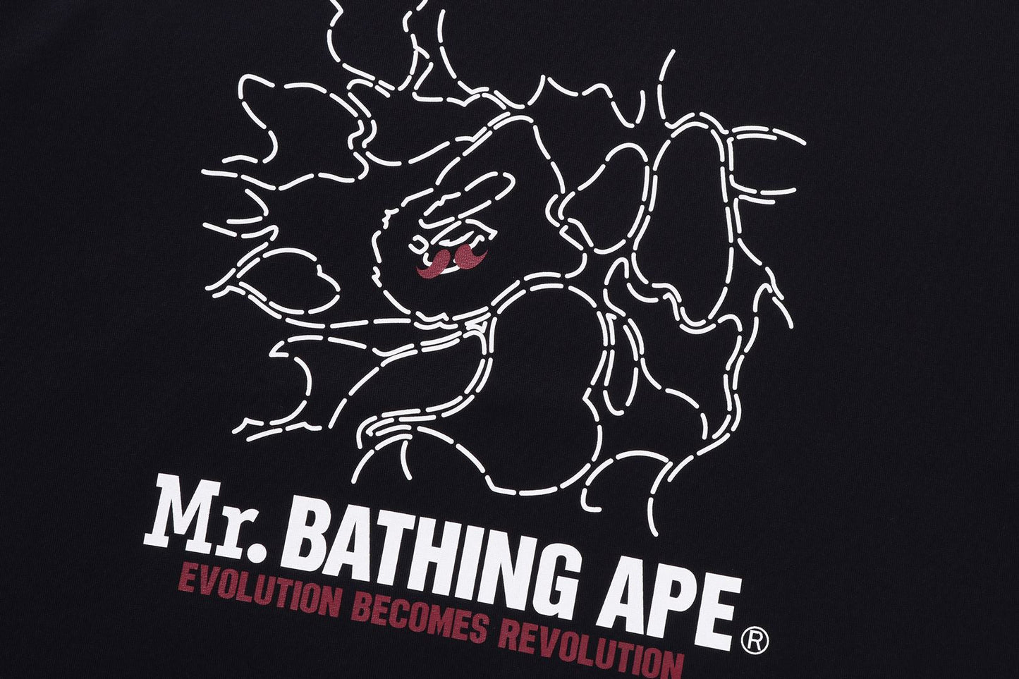 BAPE PRINT TEE