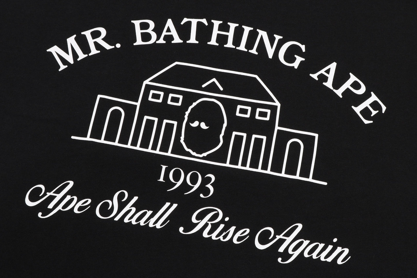 BAPE VINEYARD PRINT TEE