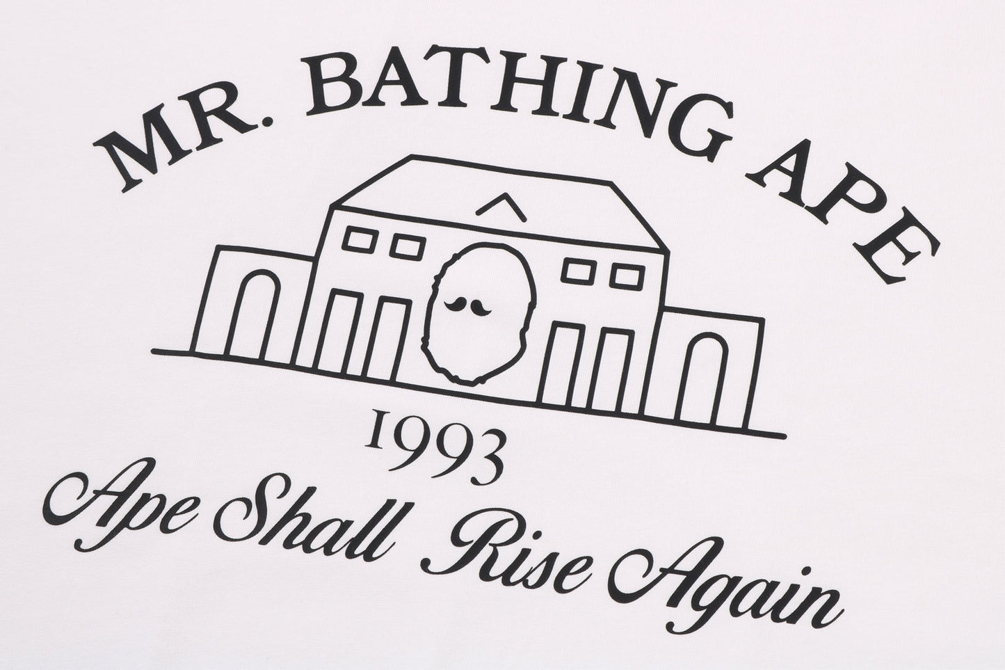 BAPE VINEYARD PRINT TEE