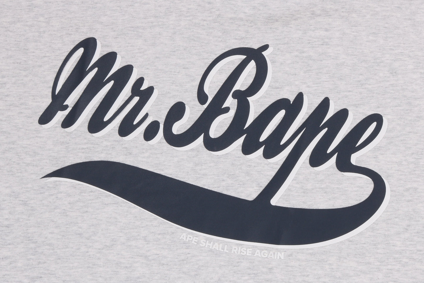 BAPE MR HEAD COLLEGE PRINT TEE