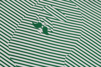 BAPE STRIPE LS PRINT TEE