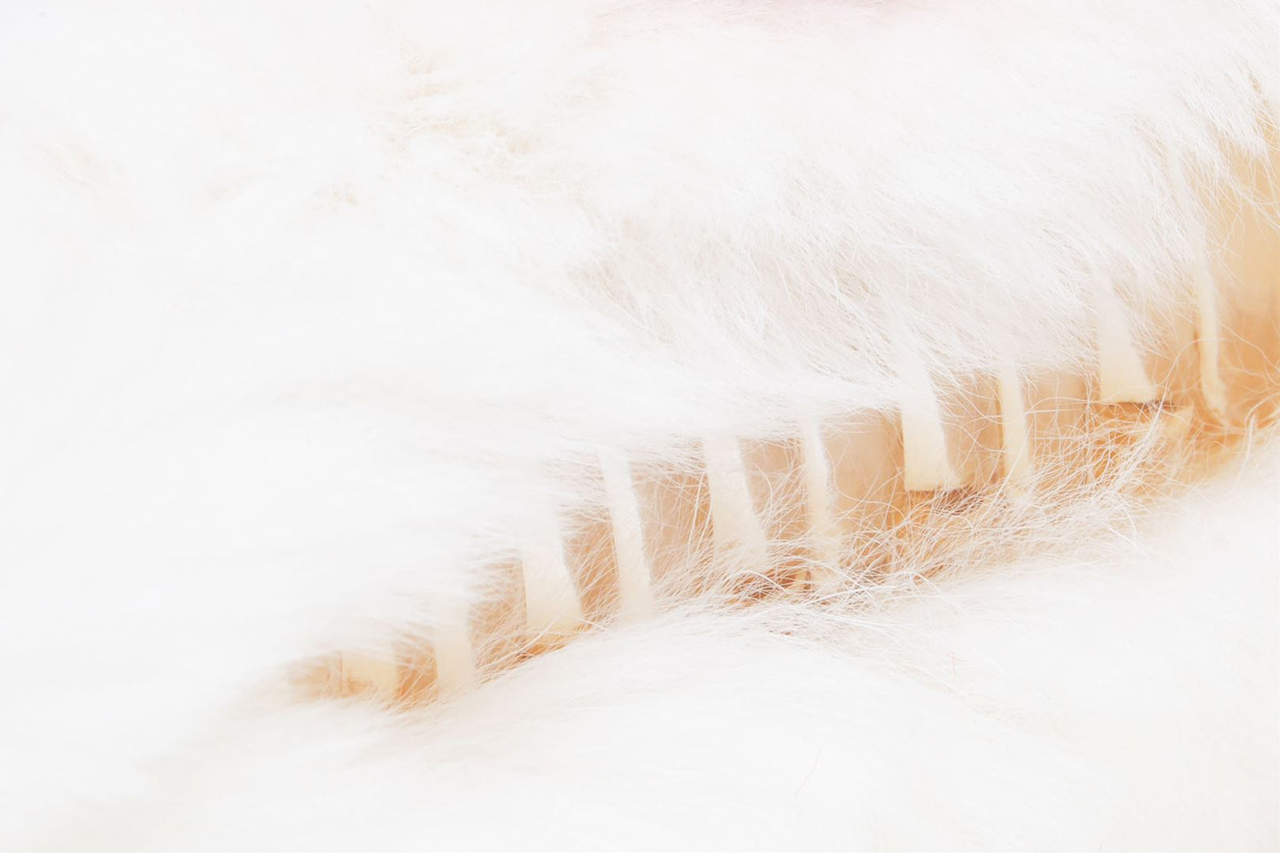 BAPE APEE HEAT CLAW HAIR CLIP