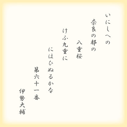 巴旦杏 ご愛食用袋（20枚（2枚×10袋））