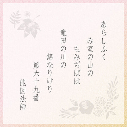 小倉山莊 だんらん三室山 化妝盒 大（28袋入）