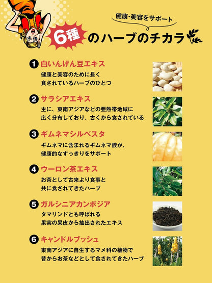 日本代購｜斯維爾提 酵母補充品 - 3倍ぱっくん分解酵母 100粒｜Amazon JP