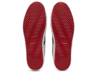 Onitsuka Tiger 鬼塚虎｜FABRE NM