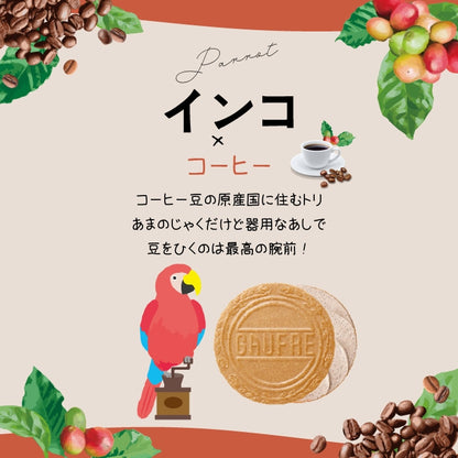 神戶風月堂 Petit 迷你Gaufre 法蘭酥 5入