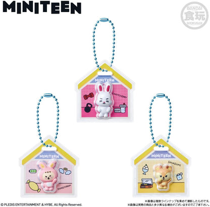 日本代購｜MINITEEN 食玩 - 包裝魅力與軟糖 12個盒裝｜Amazon JP