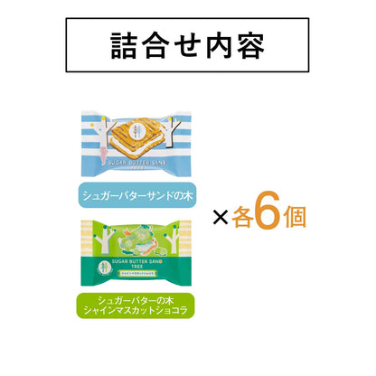 東京砂糖奶油樹沙糖奶油樹沙拉收藏12個入