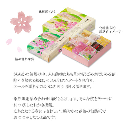春爛漫的詰合春うららけし 化妝箱(大)（21袋+涼菓2個）