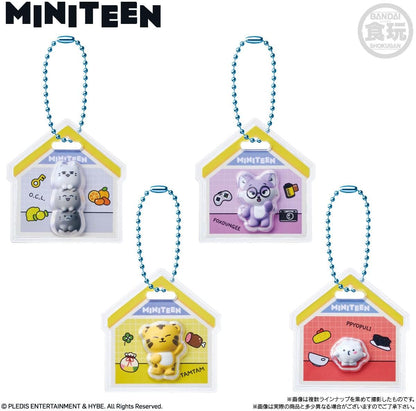 日本代購｜MINITEEN 食玩 - 包裝魅力與軟糖 12個盒裝｜Amazon JP