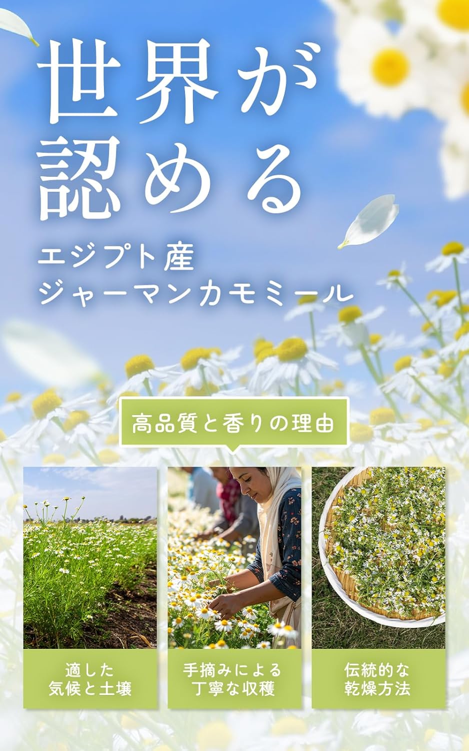 日本代購｜喜保屋 茶包 - 無農藥香草茶包 30包｜Amazon JP