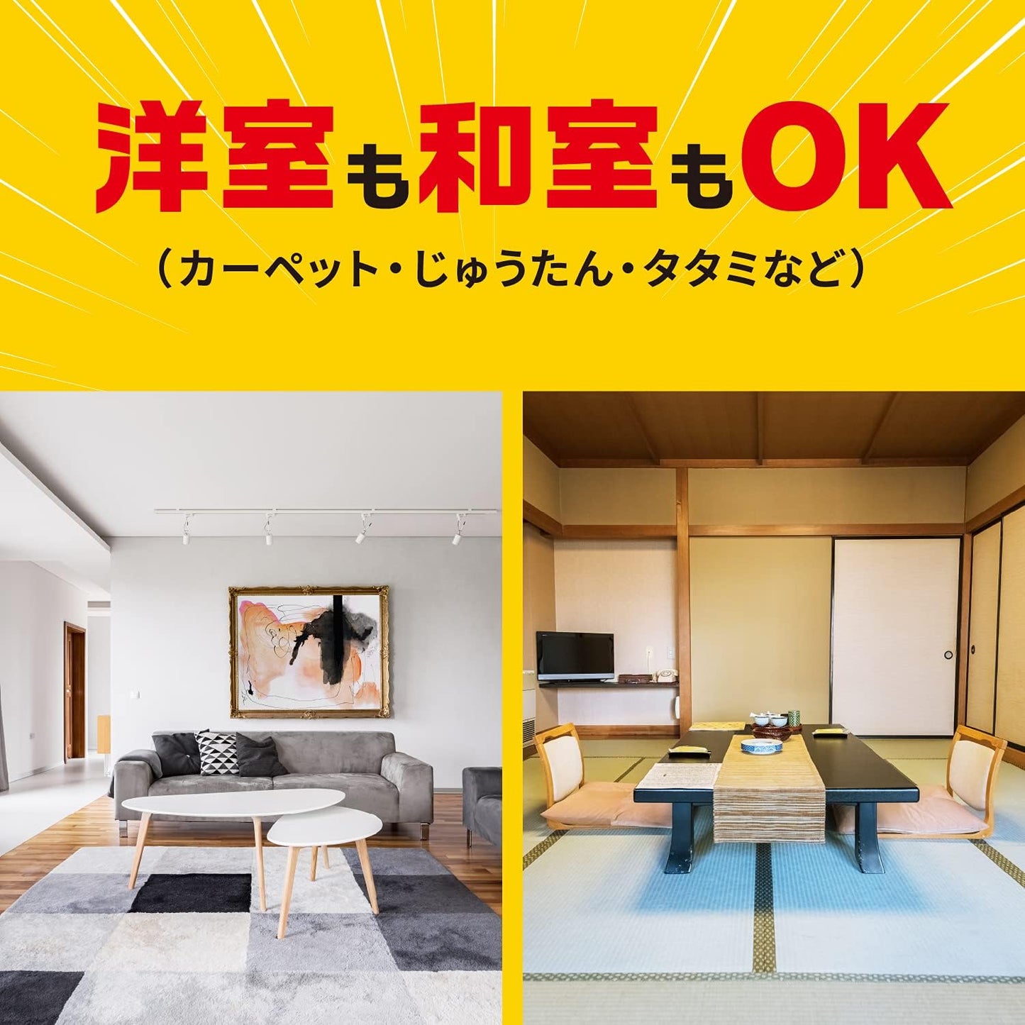 日本代購｜ダニアース Daniers Quasi-drug for Pesticides, Carpet, Tatami (10.1 fl oz (300 ml), Dust Mite Prevention (Earth Pharmaceutical)｜Amazon JP