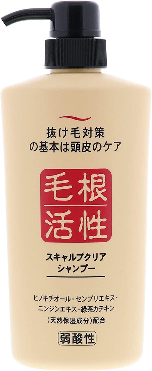 JUN COSMETIC 頭皮淨化洗髮精 550mL 頭皮清潔洗髮精 強健髮根洗髮乳
