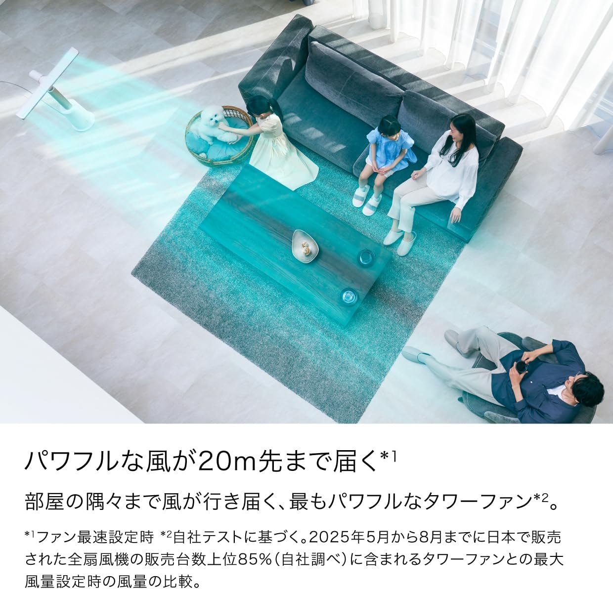 日本代購｜Shark 扇風機 - TF200SJWHNC 靜音高效｜Amazon JP
