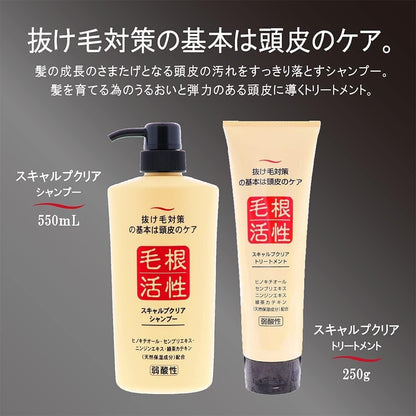 JUN COSMETIC 頭皮淨化洗髮精 550mL 頭皮清潔洗髮精 強健髮根洗髮乳