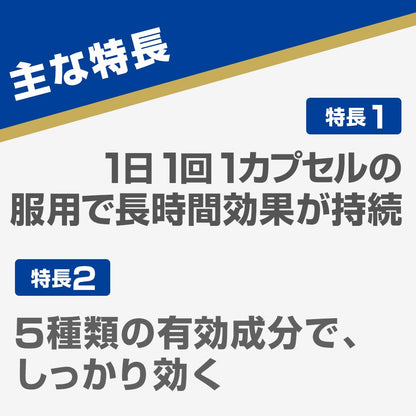 Aneron NisCap 10顆 | 第2類醫藥品 | 預防與緩解暈車、暈船、暈機 | 日本製