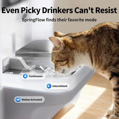日本代購｜AI Camera & Maximum Hygiene EverSweet Ultra with Camera Pet Water Fountain【Default Title】｜AI Camera & Maximum Hygiene