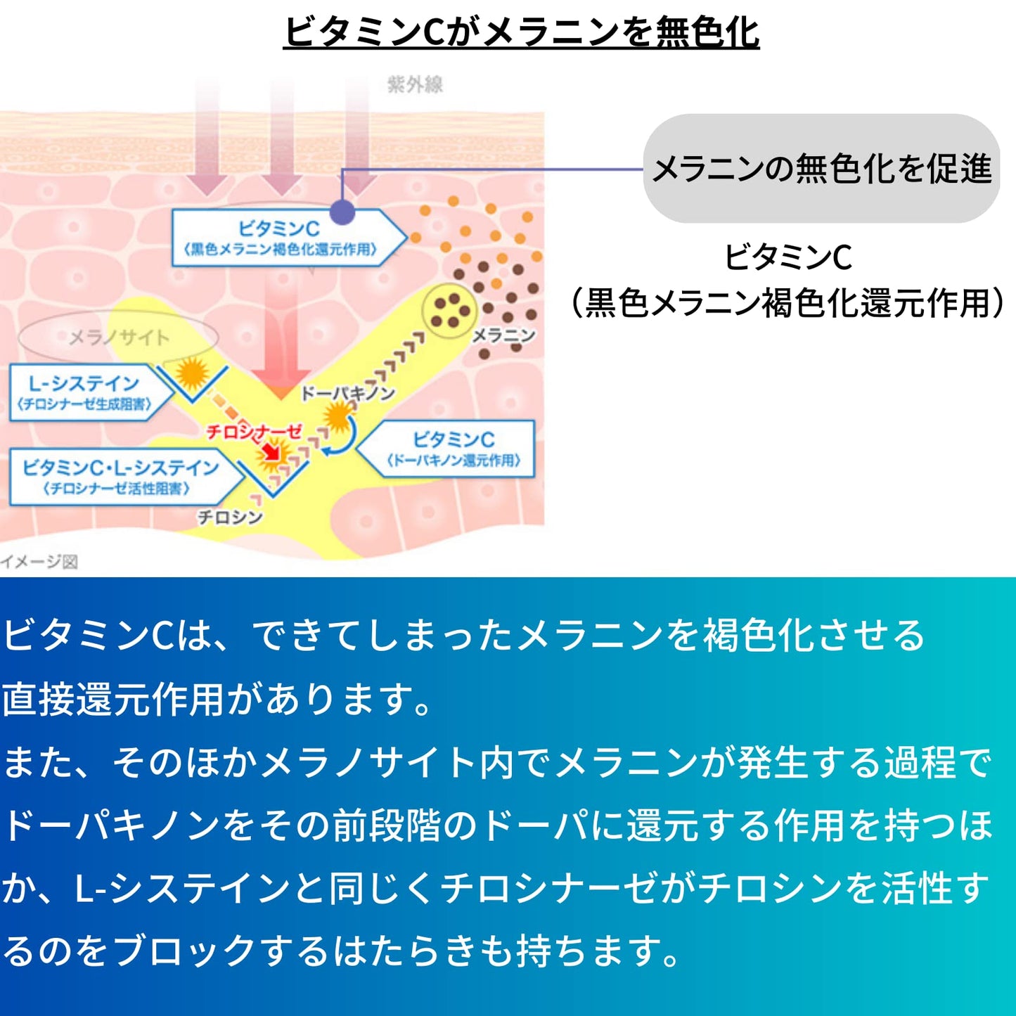 【Category 3 pharmaceutical products】Daiichi Sankyo Tranexamic White C Clear