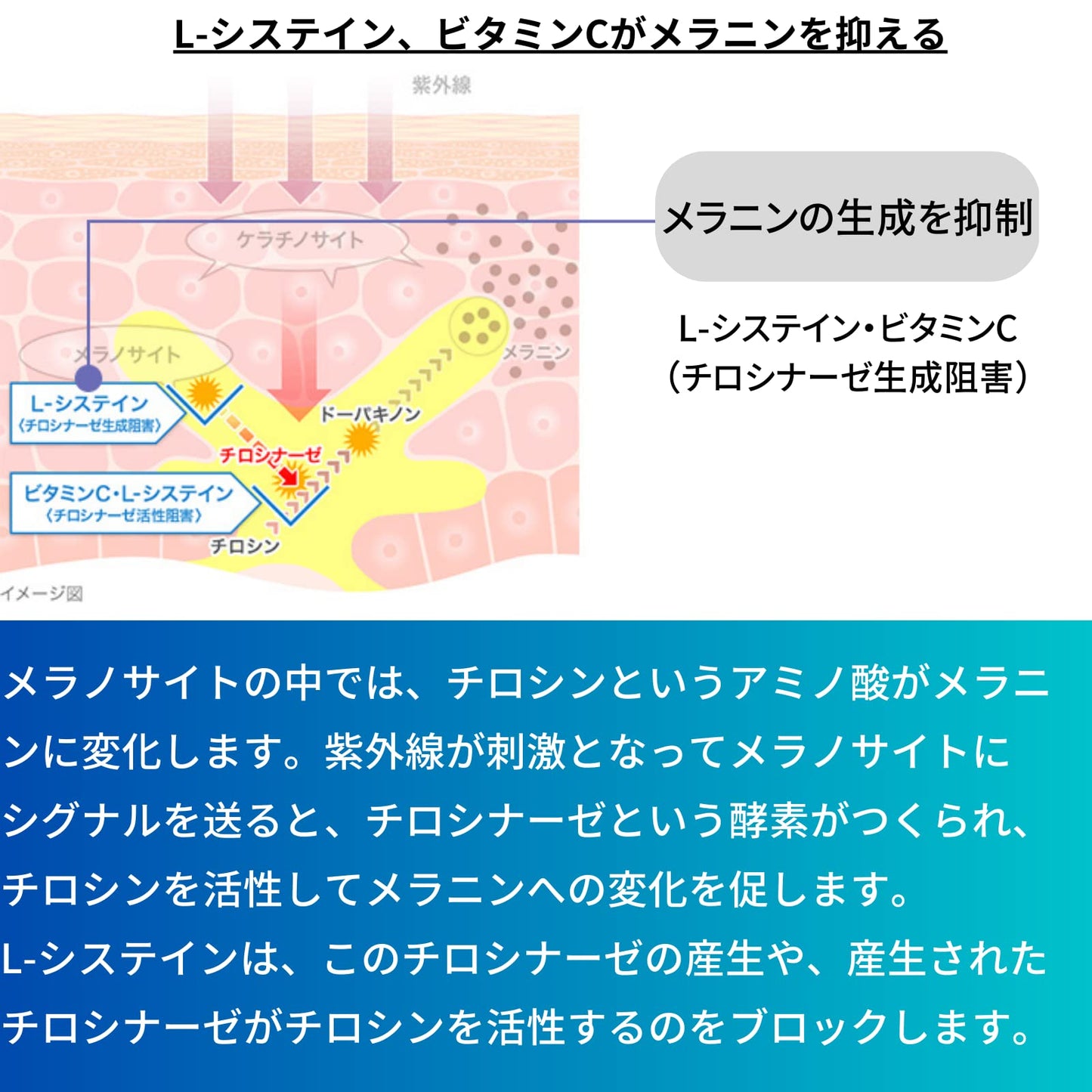 【Category 3 pharmaceutical products】Daiichi Sankyo Tranexamic White C Clear