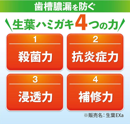 小林製藥 生葉EX 護齦牙膏 草本薄荷 100g 牙周護理牙膏 口氣清新牙膏