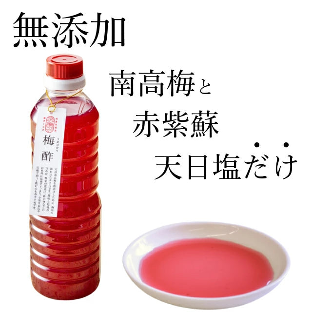 日本代購｜梅ボーイズ 調味料 - 無添加天然塩與紀州南高梅紫蘇梅酢 500ml｜樂天