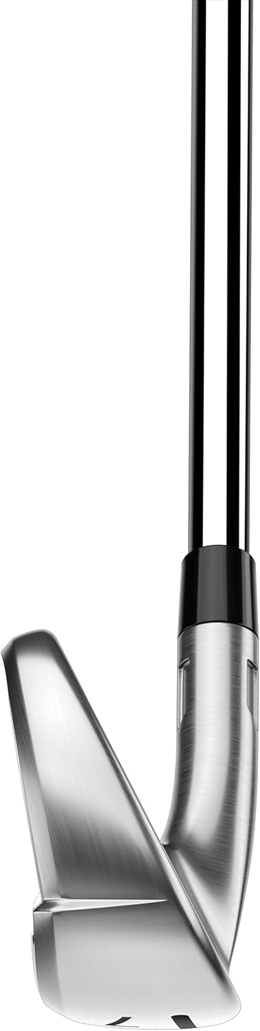 日本代購｜テーラーメイド(TAYLOR MADE) Qi Max IR 26#6-P,A/#5/SW REAX 75/65/NS910 S/R キューアイ マックス アイアン M｜Amazon JP