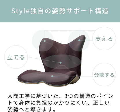 日本代購｜Style 椅子 - PREMIUM 系列 骨盆支撐椅｜Amazon JP