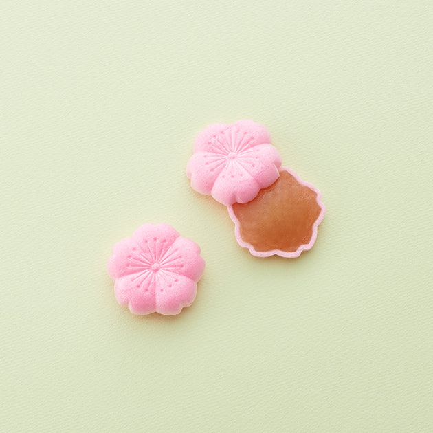 虎屋羊羹｜羊羹・最中禮盒 3號（春小型）