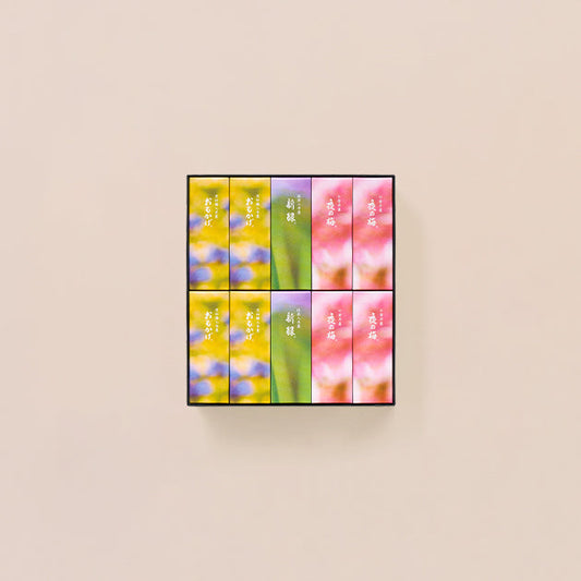 虎屋羊羹｜小型羊羹禮盒 10本入（春季）