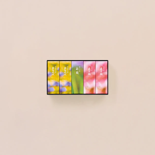 虎屋羊羹｜小型羊羹禮盒 5本入（春季）