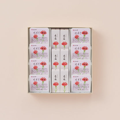 虎屋羊羹｜羊羹・水羊羹禮盒 3號（母親節）