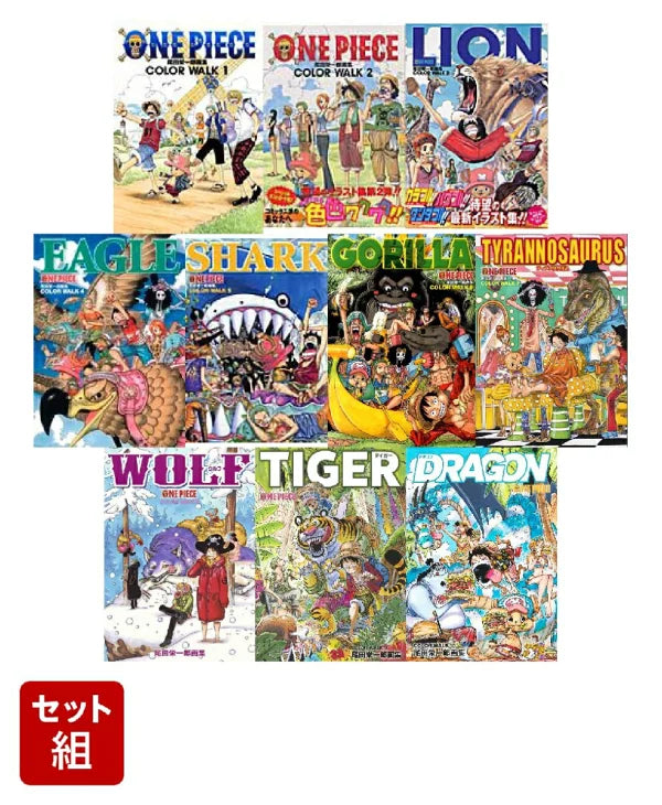 日本代購｜海賊王 畫冊 - COLOR WALK 10 畫冊｜樂天