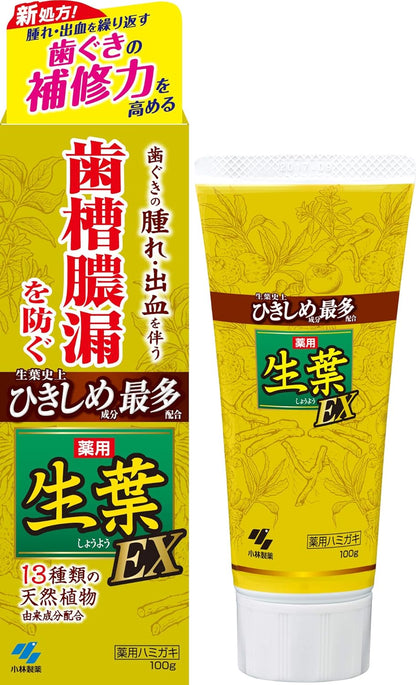 小林製藥 生葉EX 護齦牙膏 草本薄荷 100g 牙周護理牙膏 口氣清新牙膏