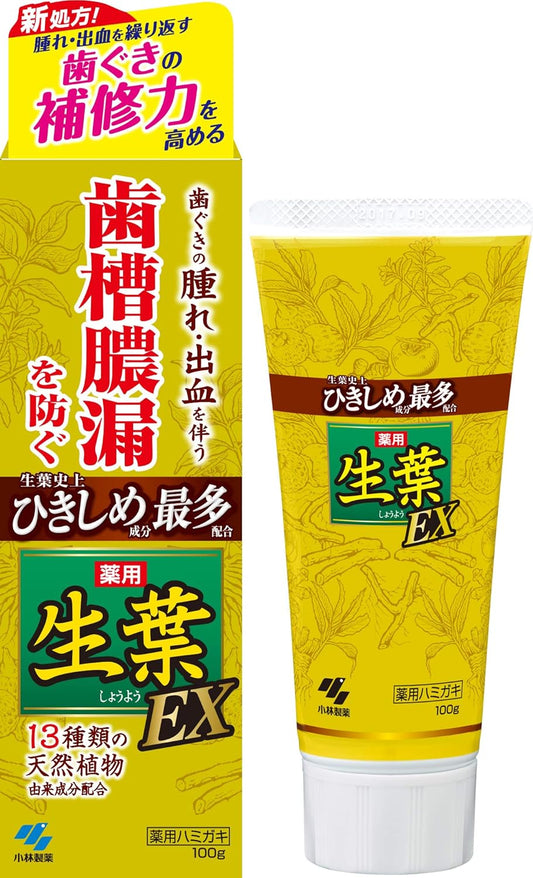 小林製藥 生葉EX 護齦牙膏 草本薄荷 100g 牙周護理牙膏 口氣清新牙膏
