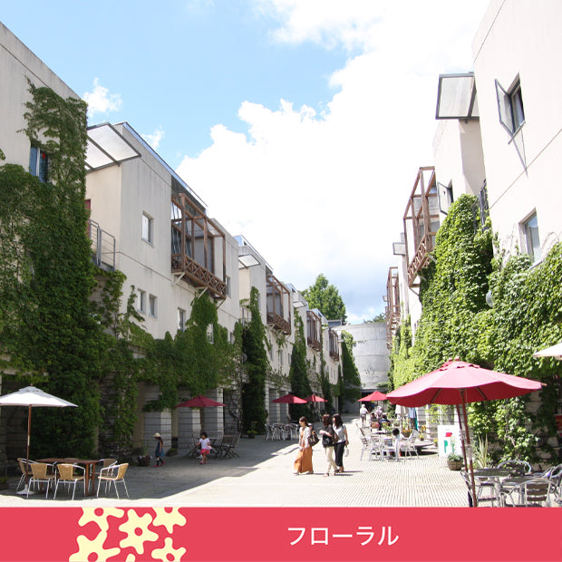 日本代購｜丸山咖啡 咖啡 - 夏季特調咖啡  100G  家庭用エスプレッソ挽き | 丸山咖啡｜Maruyamacoffee